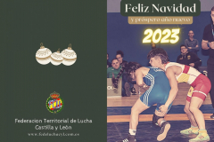 Felicitación navidad 2022 outside