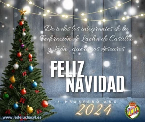 Felicitación Navidad 2024